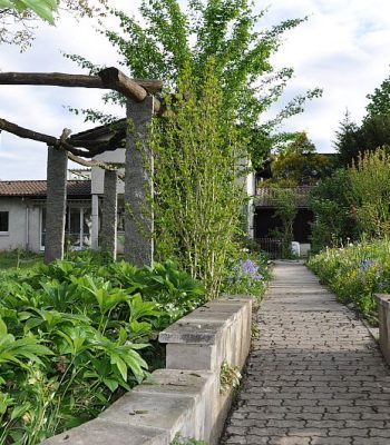DSC 0719